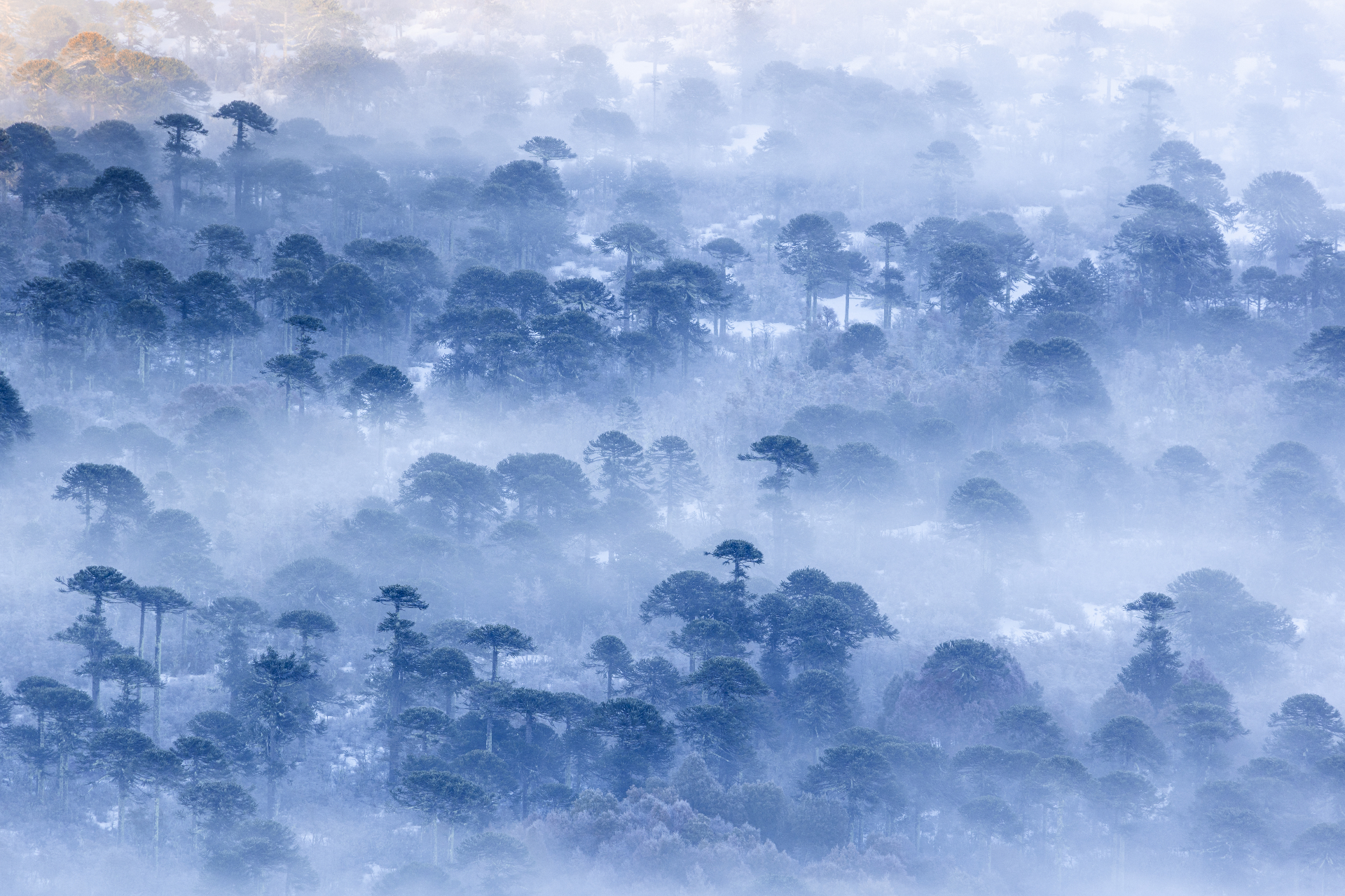 Paisaje